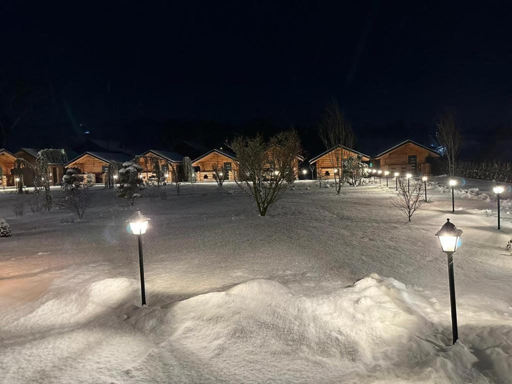 Complex Bosco Hotel Borşa Exterior foto